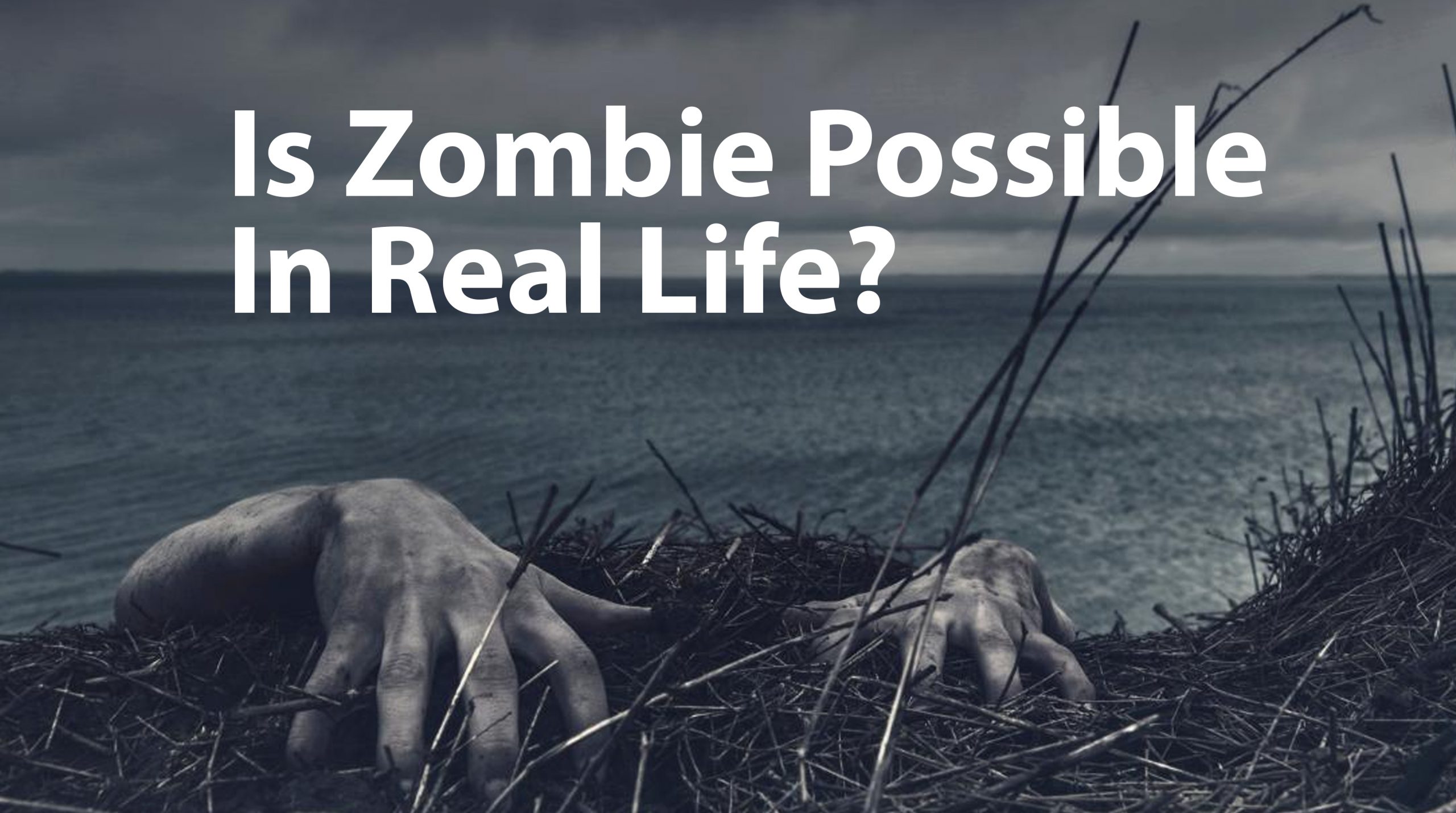 Is Zombie Possible In Real Life? (Based On Zombie Movie)