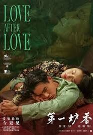 Love After Love (2021) Korean Subtitle