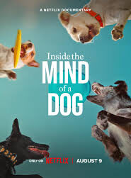 Inside the Mind of a Dog (2024) Korean Subtitle