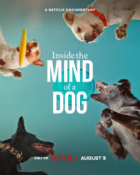 Inside the Mind of a Dog (2024) Korean Subtitle