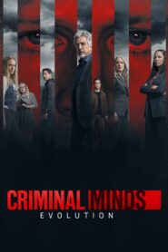 Criminal Minds Korean Subtitle