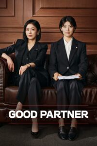 Good Partner (2024) Korean Subtitle