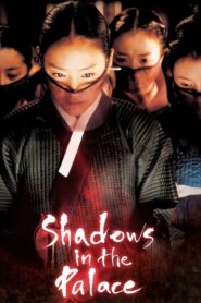 Shadows in the Palace Koean subtitle