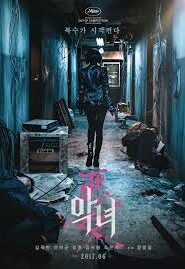 The Villainess (2017) Korean Subtitle