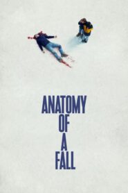 Anatomy of a Fall (2023) Korean Subtitle