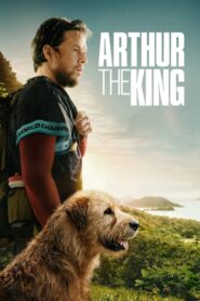 Arthur the King (2024) Korean Subtitle